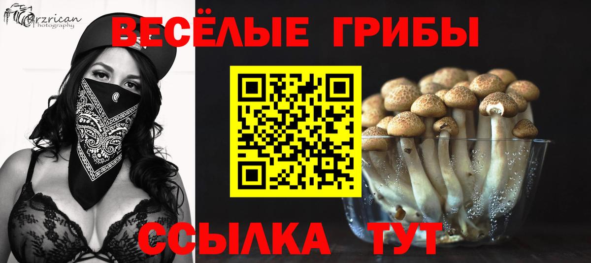 Псилоцибиновые грибы Cubensis Тайшет